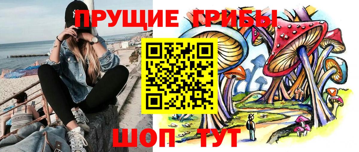 Елабуга  Галлюциногенные грибы мицелий  Псилоцибиновые грибы мухоморы  Вход с VPN 