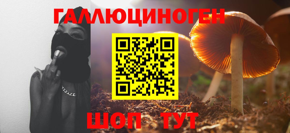 Псилоцибиновые грибы Magic Shrooms Елабуга